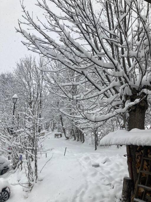 Chaleureuse Maison De Pays Serre Chevalier4Etoiles Le Monetier-les-Bains ภายนอก รูปภาพ