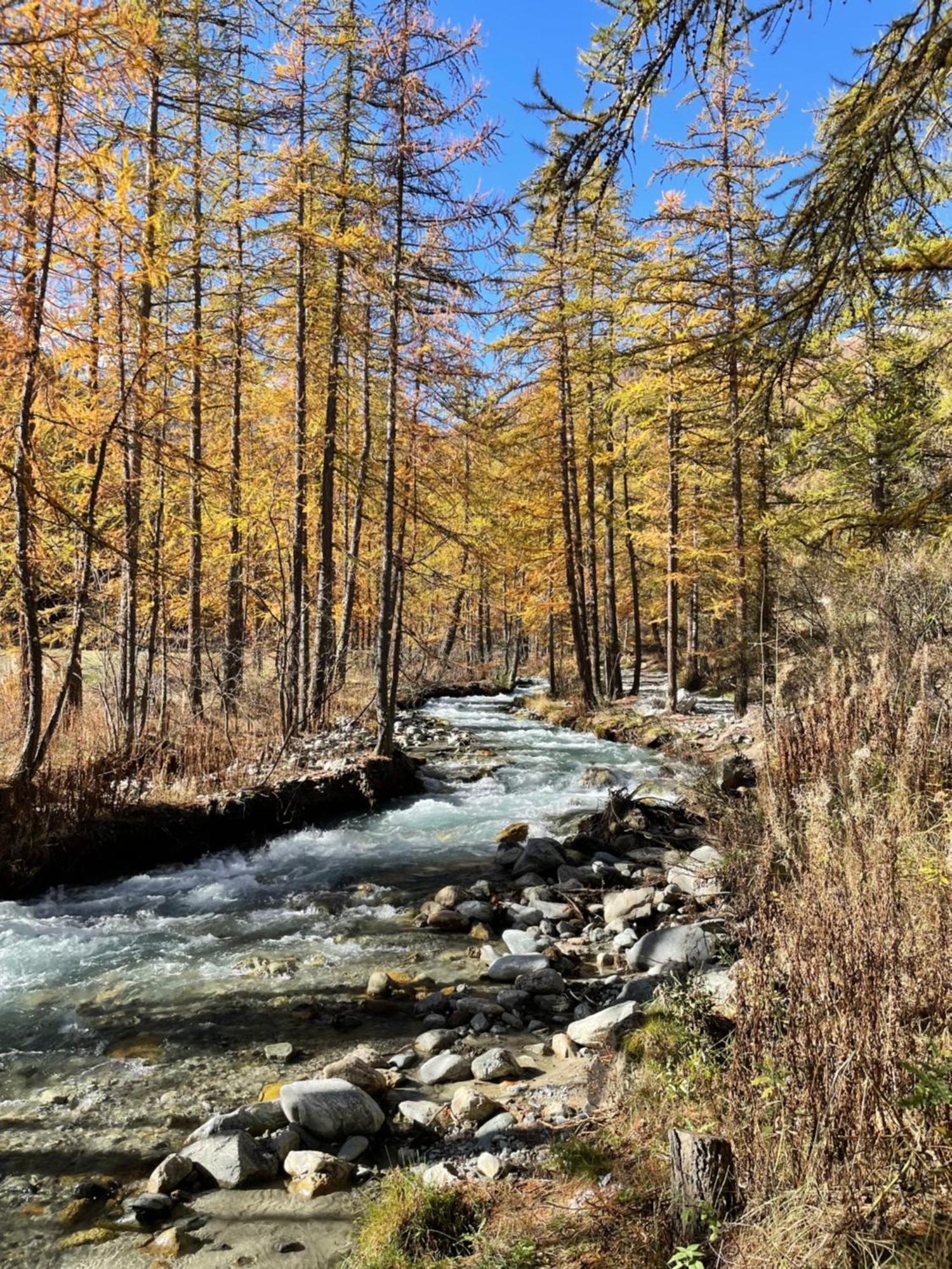 Chaleureuse Maison De Pays Serre Chevalier4Etoiles Le Monetier-les-Bains ภายนอก รูปภาพ